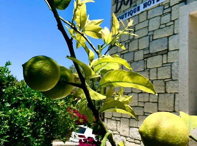 Duman Boutique Hotel *